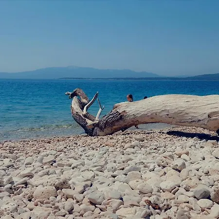 Karavan Aida * Živogošće