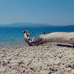 Karavan Aida * זיווגוסצה