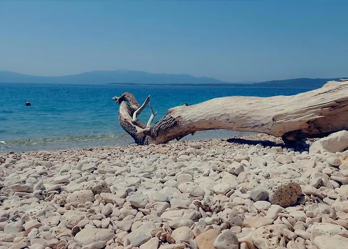 Karavan Aida Zivogosce